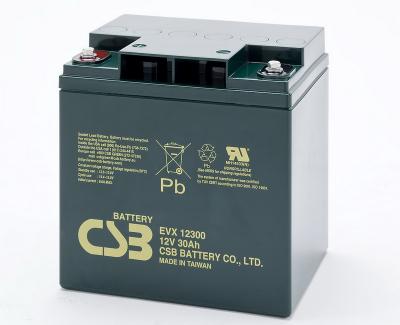 EVX12300