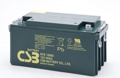 EVX12650