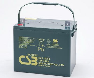 EVX12750